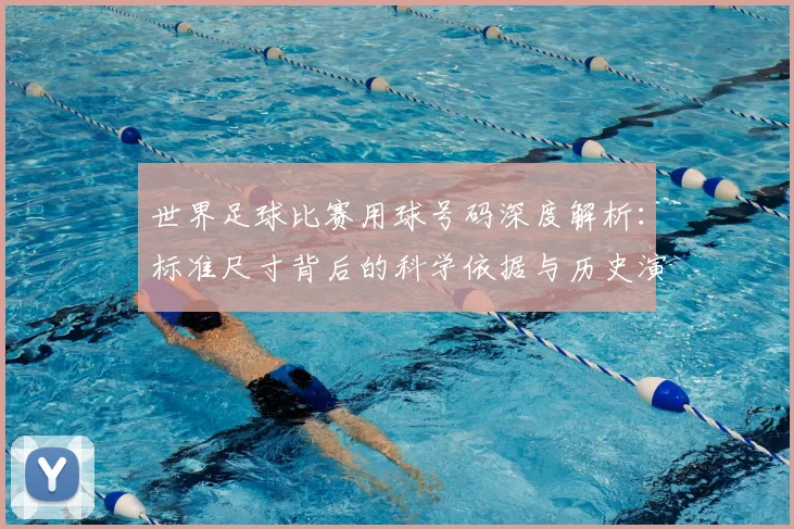 世界足球比赛用球号码深度解析：标准尺寸背后的科学依据与历史演变