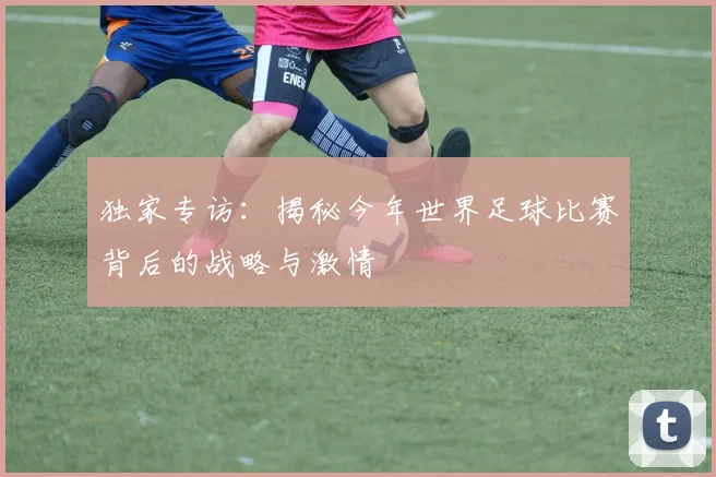 独家专访：揭秘今年世界足球比赛背后的战略与激情